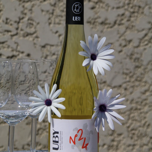 Vin blanc uby - caves et domaine - saint remy de provence
