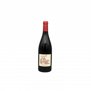 Les Vignes Oubliées - Languedoc